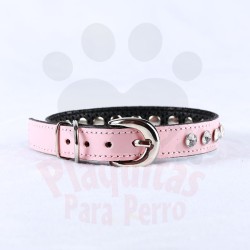 Collares Talla 1 y 2 - Tachas